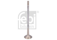 Exhaust valve
