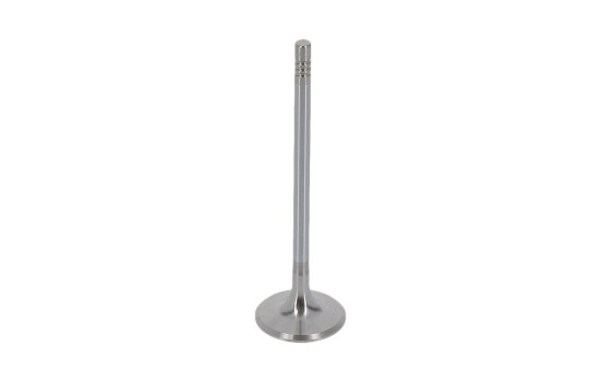 Inlet Valve, Image 2