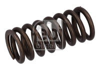 Valve spring