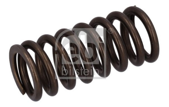 Valve spring