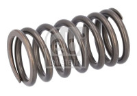 Valve spring
