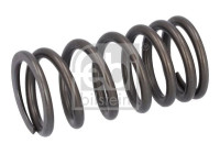 Valve spring