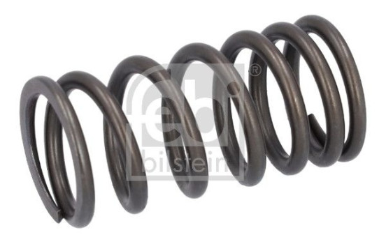 Valve spring