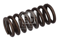 Valve spring