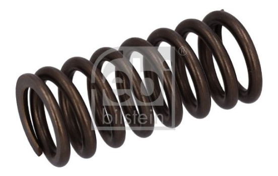 Valve spring