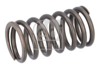 Valve spring