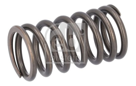 Valve spring