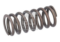 Valve spring