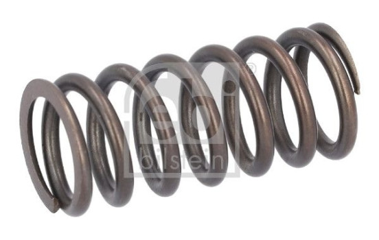 Valve spring