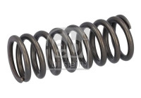 Valve spring