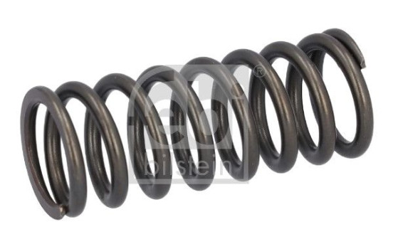 Valve spring