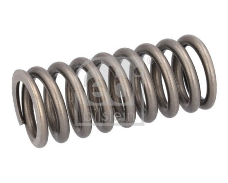 Valve spring