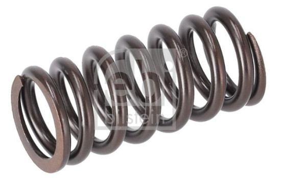 Valve spring