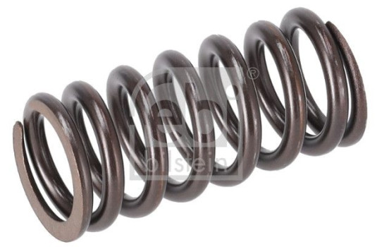 Valve spring, Image 2