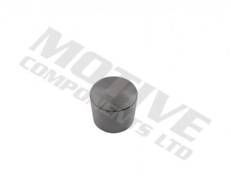 Cam Follower, Image 2