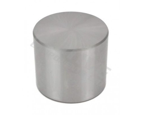 Cam Follower, Image 2