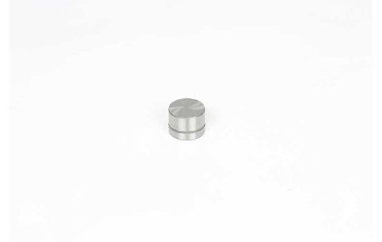 valve lifter