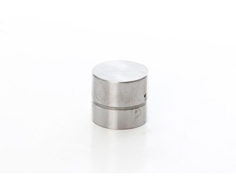 valve lifter