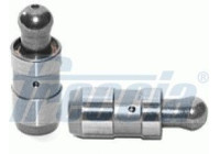 Valve lifter