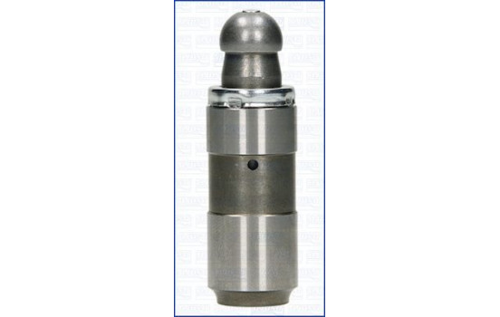Valve lifter