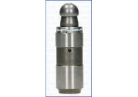 Valve lifter
