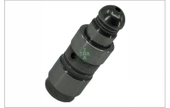Valve lifter