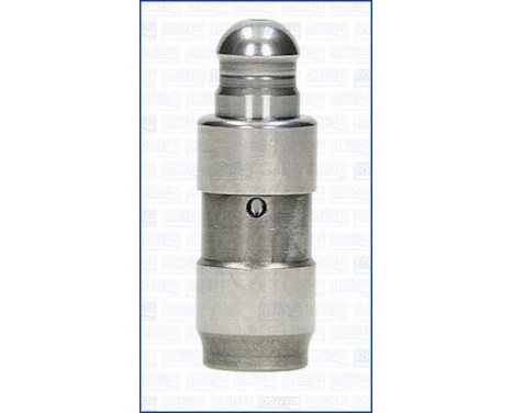 Valve lifter