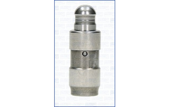 Valve lifter