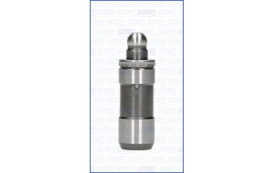 Valve lifter
