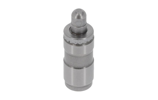Valve lifter
