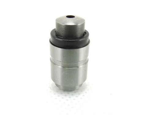 Valve lifter