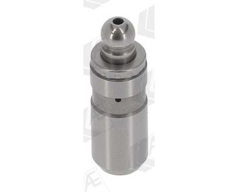 Valve tappet, Image 2
