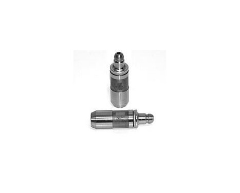 Valve tappet, Image 2