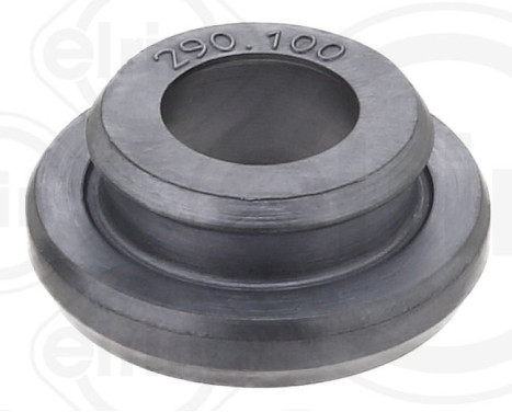 Seal Ring, cylinder head cover bolt