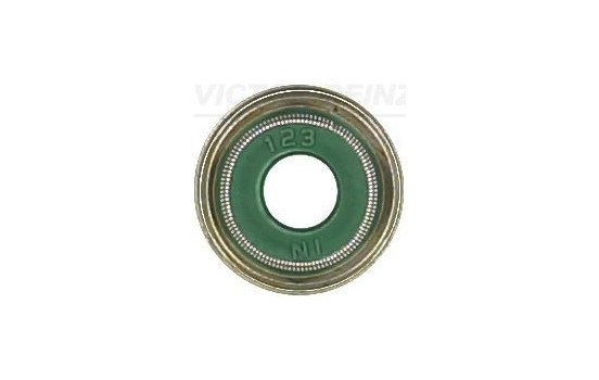 Seal Ring, valve stem