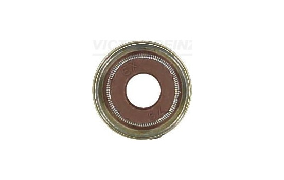 Seal Ring, valve stem