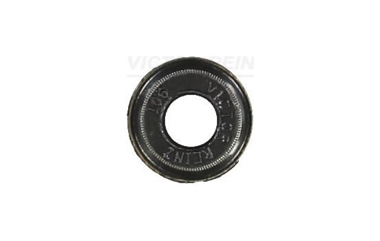 Seal Ring, valve stem