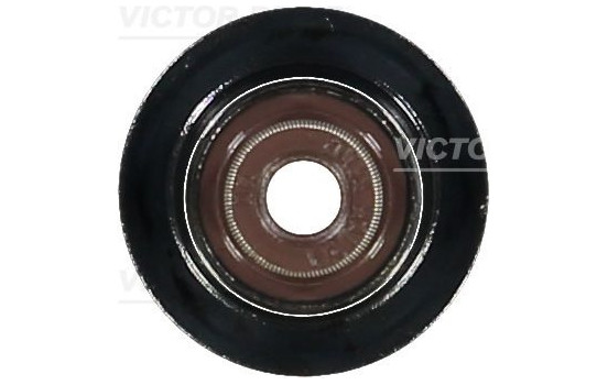 Seal Ring, valve stem