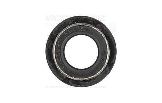 Seal Ring, valve stem