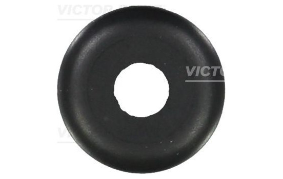 Seal Ring, valve stem