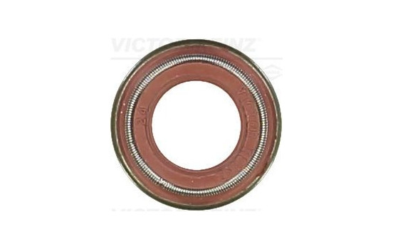 Seal Ring, valve stem