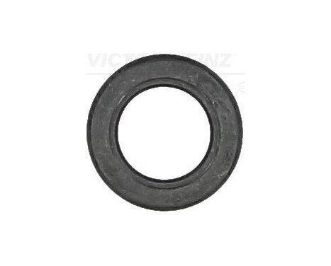 Seal Ring, valve stem