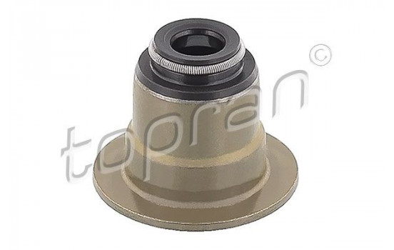 Seal Ring, valve stem