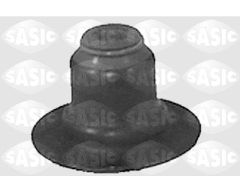 Seal Ring, valve stem