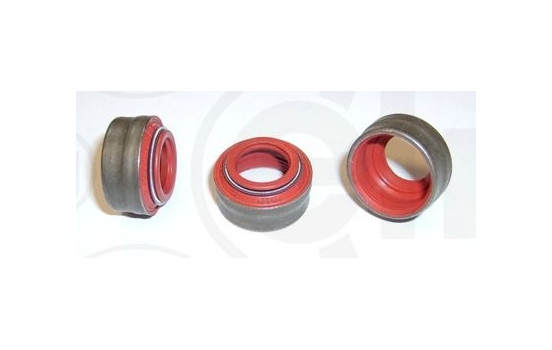 Seal Ring, valve stem