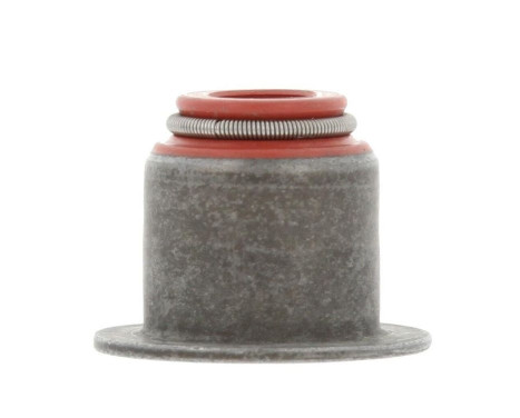 Seal Ring, valve stem