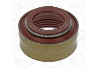 Seal Ring, valve stem