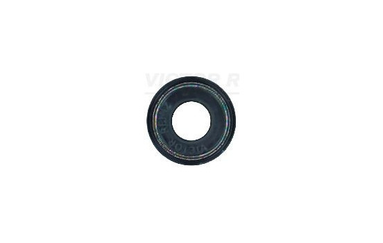 Seal Ring, valve stem