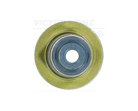 Seal Ring, valve stem