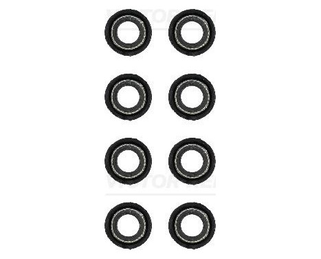 Seal Set, valve stem